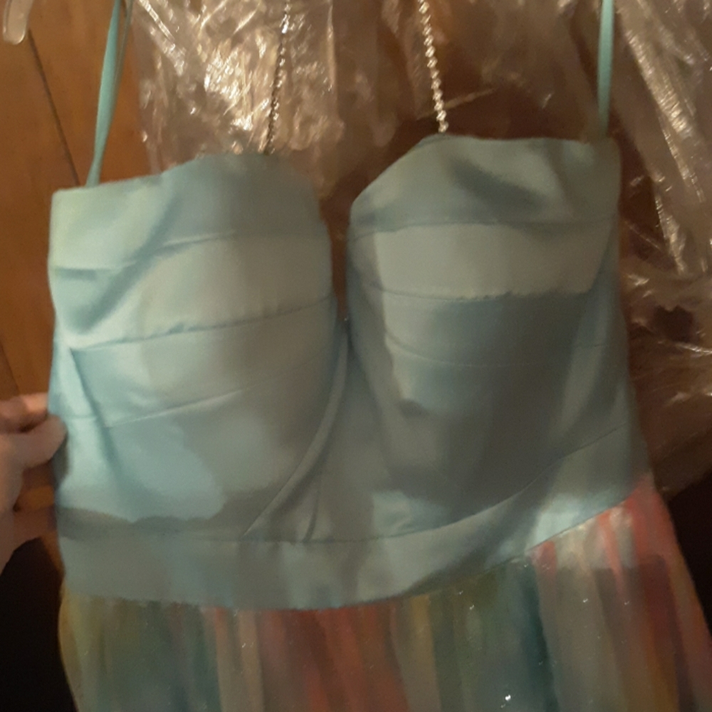 Thrift store dress that was then made custom